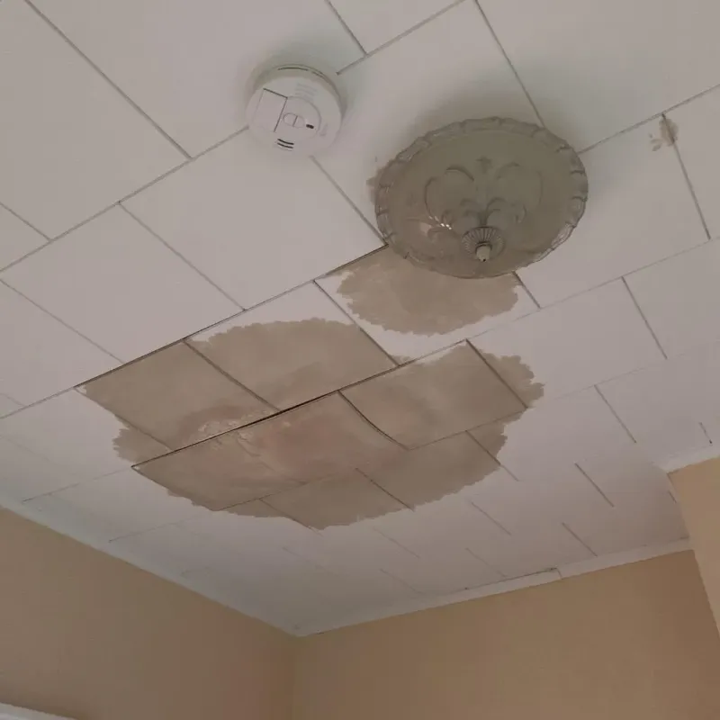 Ceiling Water Damage Repair in Redding, CA